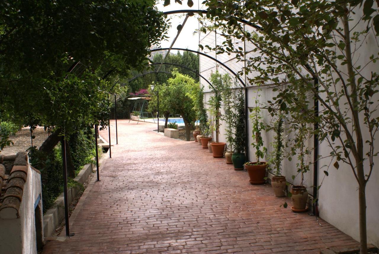 La Canota King Rooms Adults Only Talara Eksteriør bilde