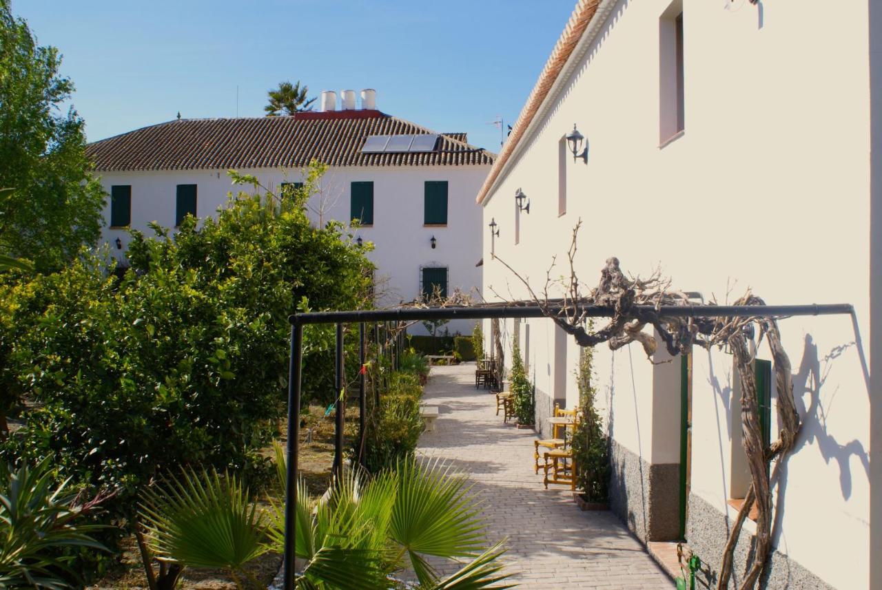 La Canota King Rooms Adults Only Talara Eksteriør bilde