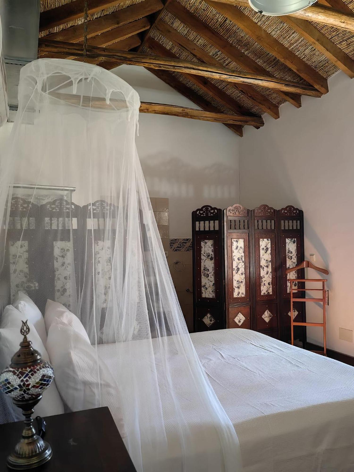 La Canota King Rooms Adults Only Talara Eksteriør bilde