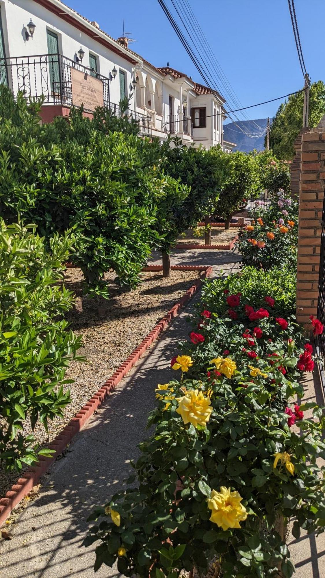 La Canota King Rooms Adults Only Talara Eksteriør bilde
